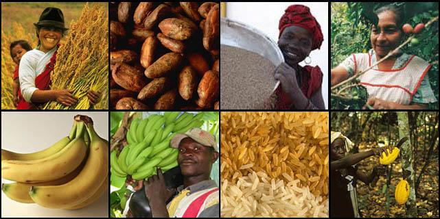 Spende f�r Haiti - Misereor